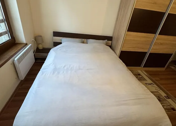 Mimsi * 팜포로보